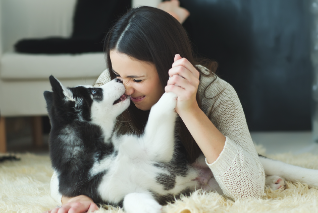 Pet Friendly actividades que puedes hacer con tu mascota en tu propio depa