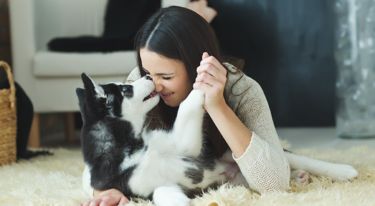 Pet Friendly actividades que puedes hacer con tu mascota en tu propio depa