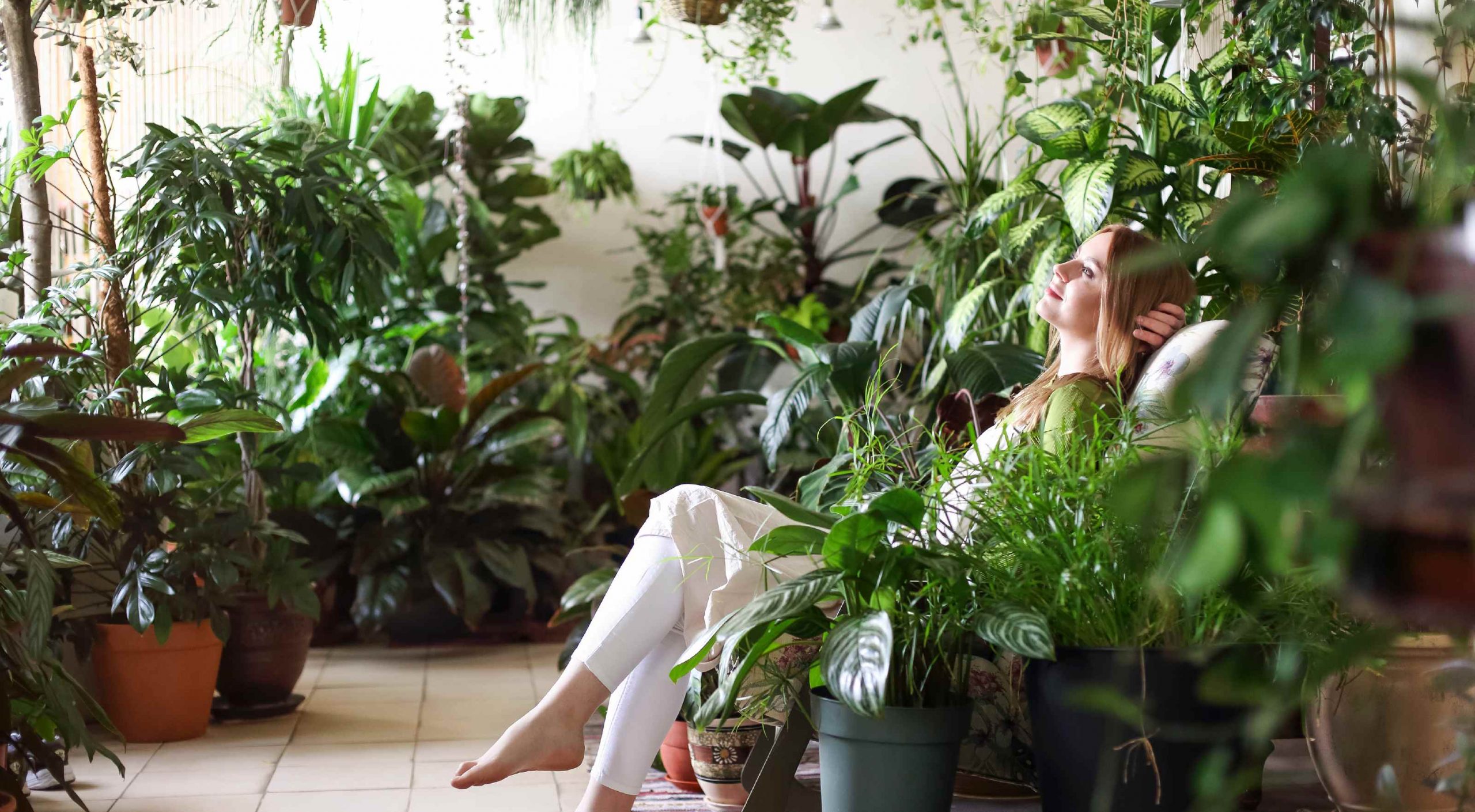 plantas depa